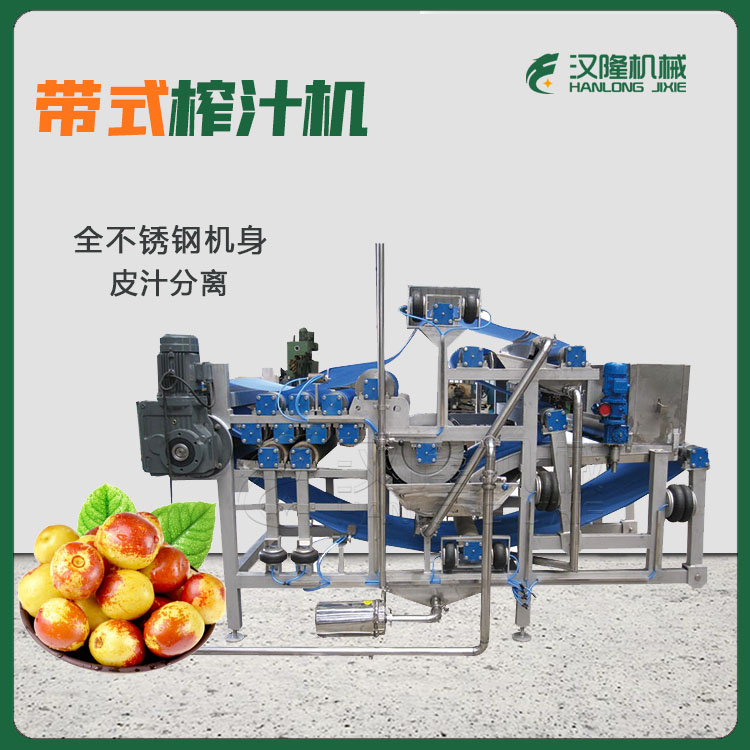 多種水果榨汁（zhī）機 全（quán）自動（dòng）大型工業果蔬榨汁機 可定製不鏽鋼水果榨汁機（jī）